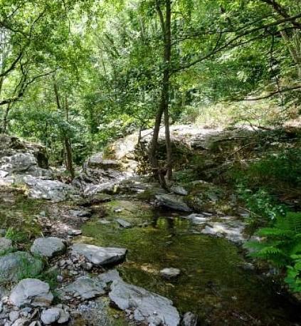 S'adapter de C. Dupont-Monod